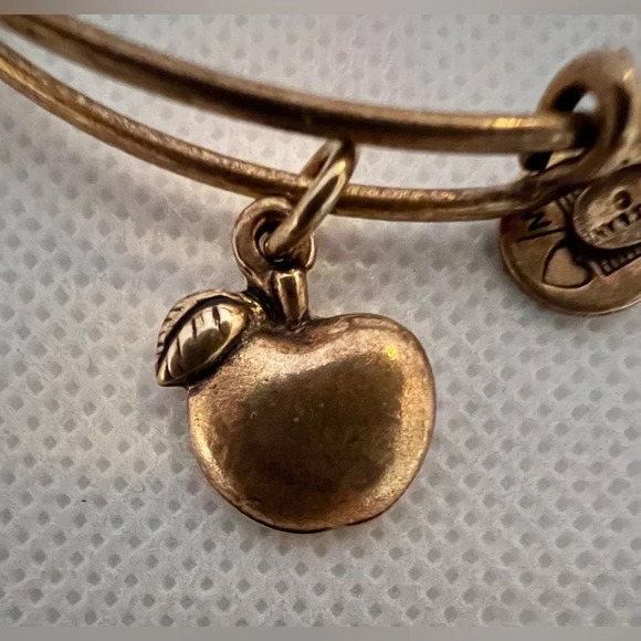 Alex and Ani | Apple of Abundance charm bracelet - Picture 11 of 16